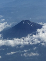 photo?id=689&suffix=t