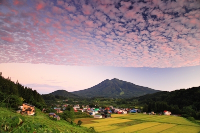 photo?id=6894&suffix=m