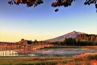 photo?id=6895&suffix=t