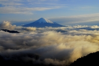 photo?id=690&suffix=t