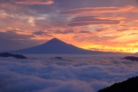 photo?id=691&suffix=t