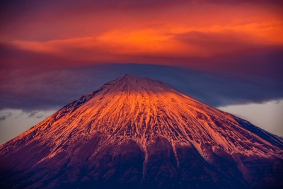 photo?id=6932&suffix=m