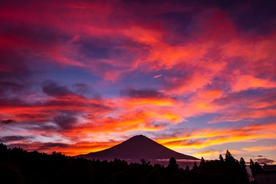 photo?id=6934&suffix=m