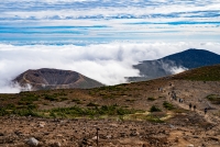 photo?id=6941&suffix=t