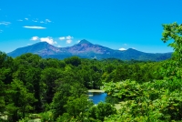 photo?id=6948&suffix=t