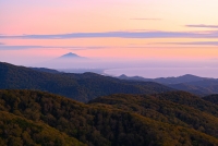 photo?id=6949&suffix=t