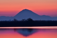 photo?id=6959&suffix=t