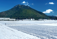 photo?id=6960&suffix=t