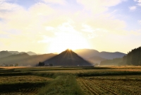 photo?id=6998&suffix=t