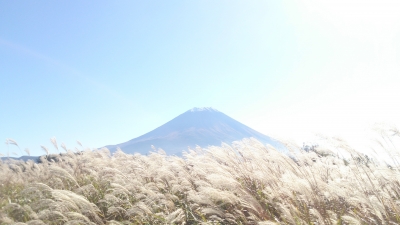 photo?id=705&suffix=m