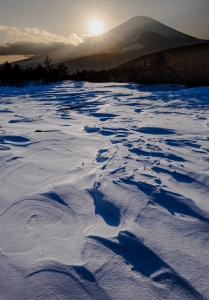 photo?id=7110&suffix=m