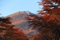 photo?id=7288&suffix=t