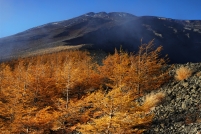 photo?id=7302&suffix=t