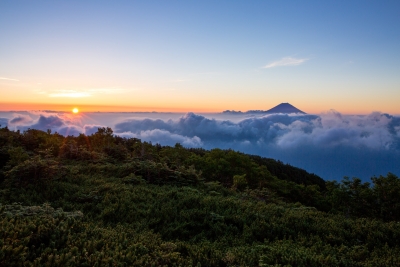 photo?id=736&suffix=m