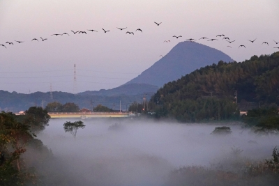 photo?id=7364&suffix=m