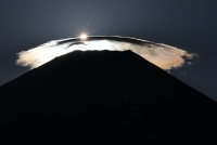 photo?id=7394&suffix=t