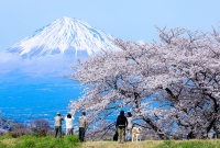 photo?id=7400&suffix=t