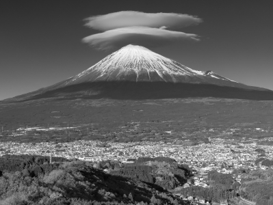 photo?id=7411&suffix=m