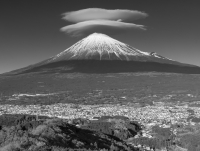 photo?id=7411&suffix=t