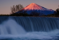 photo?id=7419&suffix=t