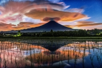 photo?id=7429&suffix=t