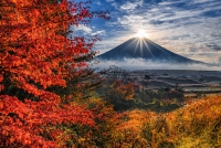 photo?id=7431&suffix=t