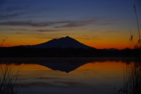 photo?id=7441&suffix=t