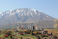 photo?id=7462&suffix=t