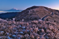 photo?id=7479&suffix=t