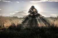 photo?id=7496&suffix=t