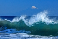 photo?id=7498&suffix=t