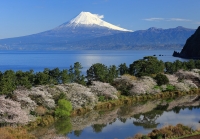 photo?id=7513&suffix=t