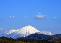 photo?id=7524&suffix=t