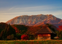 photo?id=7525&suffix=t