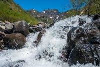 photo?id=7585&suffix=t