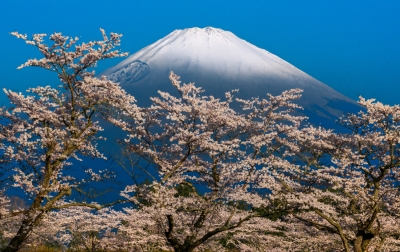 photo?id=7589&suffix=m