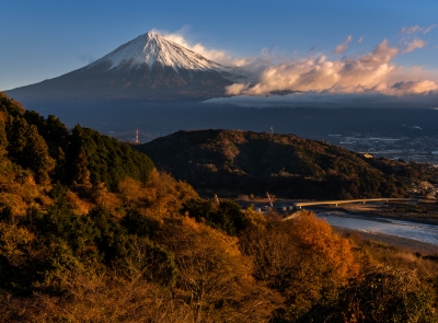 photo?id=7606&suffix=m