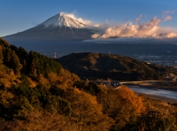 photo?id=7606&suffix=t