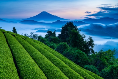 photo?id=7608&suffix=m