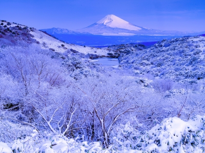 photo?id=7632&suffix=m