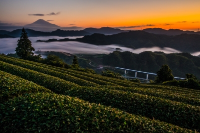 photo?id=768&suffix=m