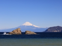 photo?id=7836&suffix=t