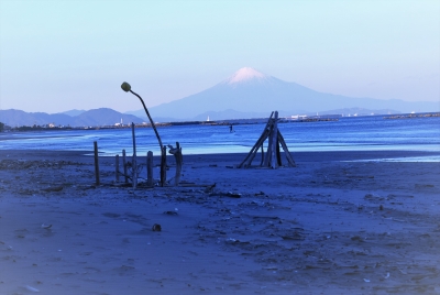 photo?id=784&suffix=m