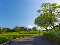 photo?id=7867&suffix=t