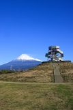photo?id=8014&suffix=t