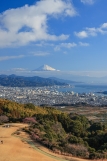 photo?id=8033&suffix=t