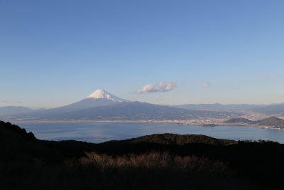 photo?id=804&suffix=m