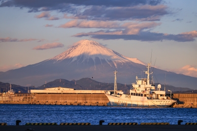 photo?id=8041&suffix=m