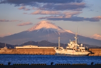 photo?id=8041&suffix=t