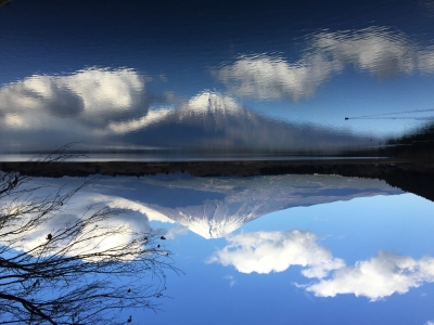 photo?id=809&suffix=m